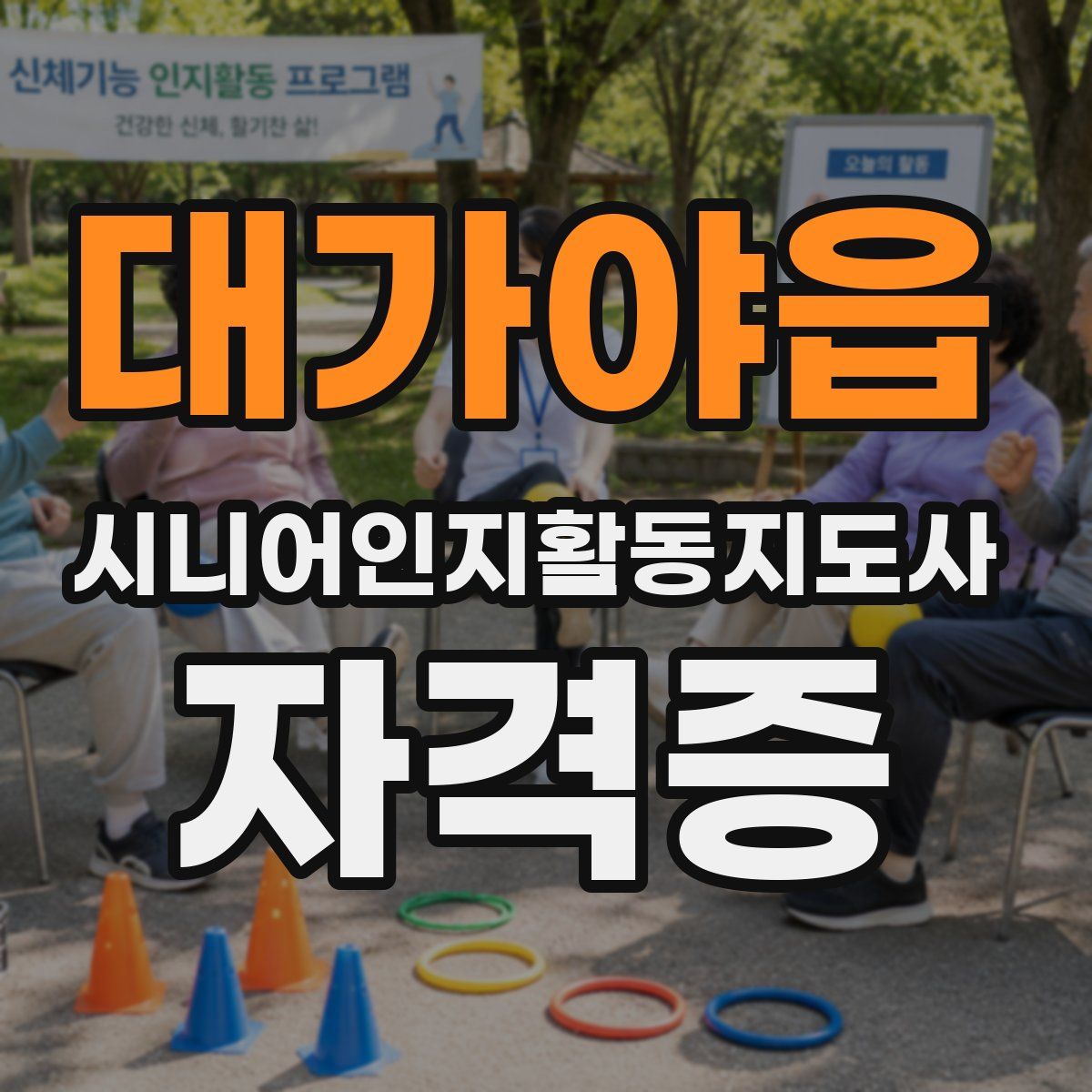 대가야읍 시니어인지활동지도사 자격증