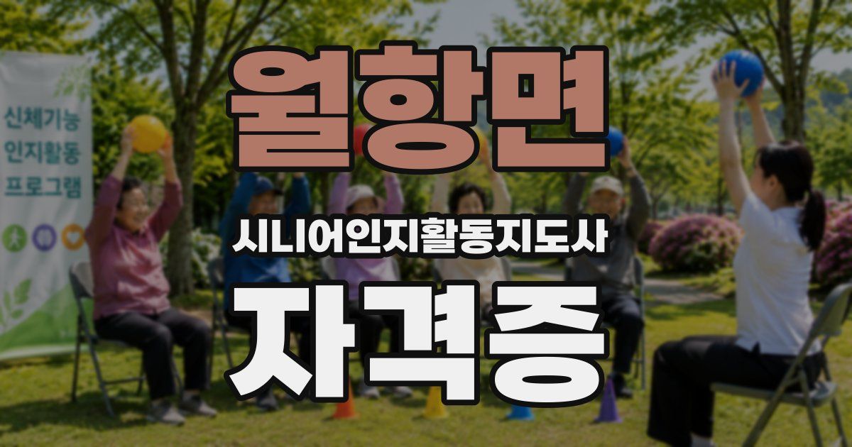 월항면 시니어인지활동지도사 자격증