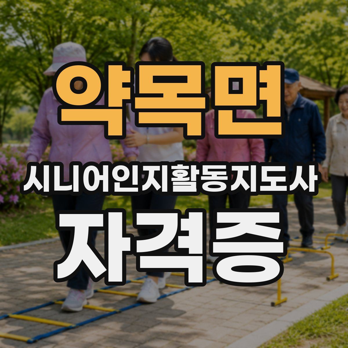 약목면 시니어인지활동지도사 자격증