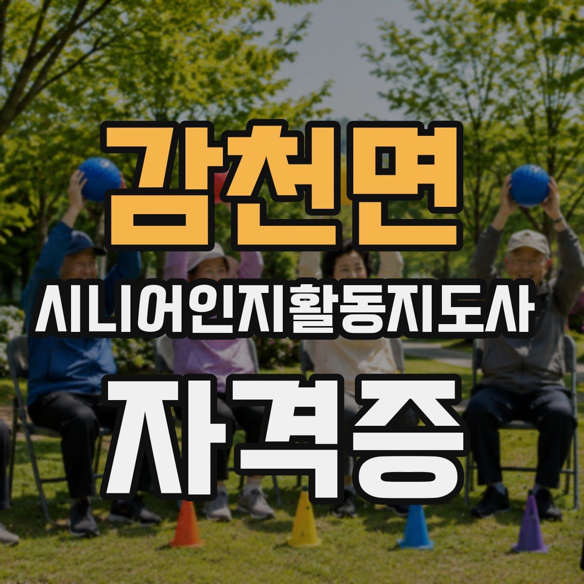 감천면 시니어인지활동지도사 자격증