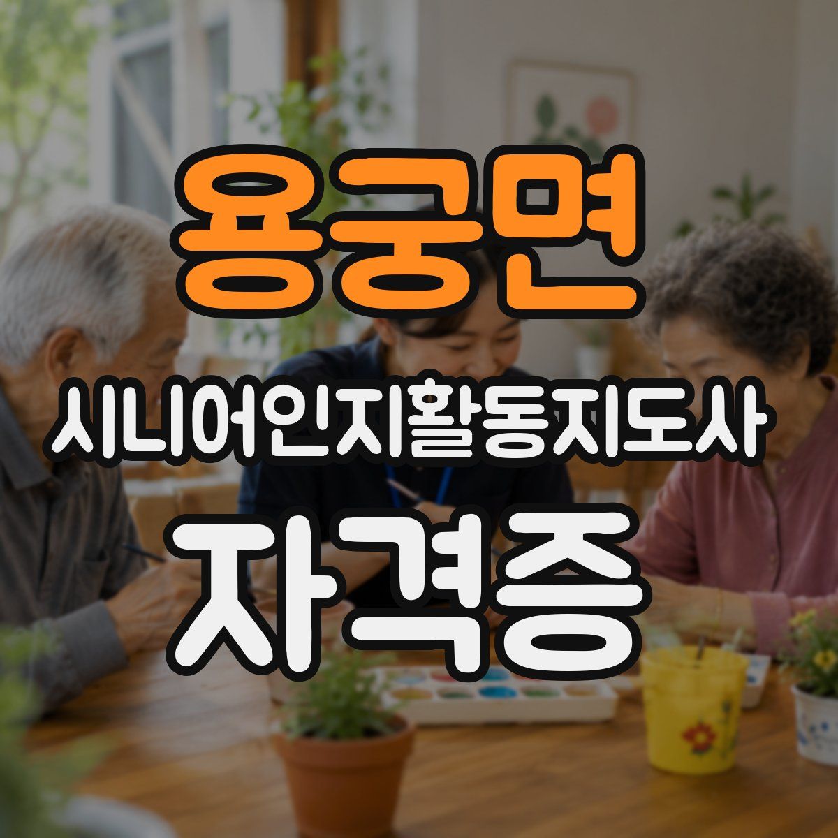 용궁면 시니어인지활동지도사 자격증