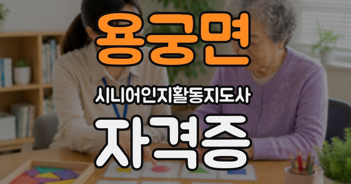 용궁면 시니어인지활동지도사 자격증