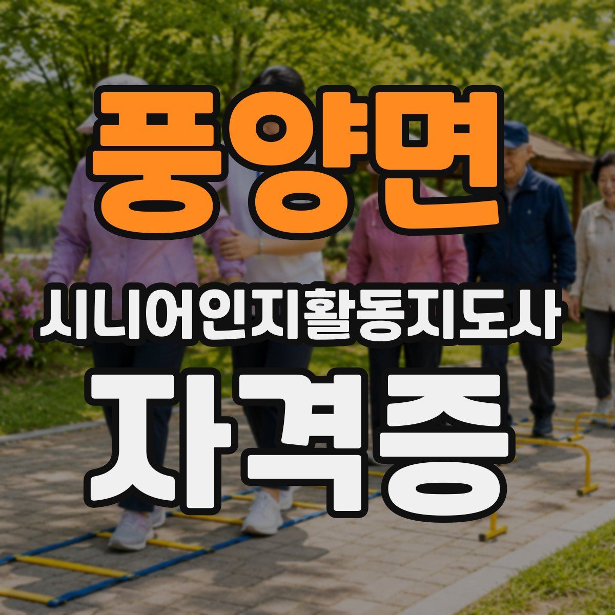 풍양면 시니어인지활동지도사 자격증