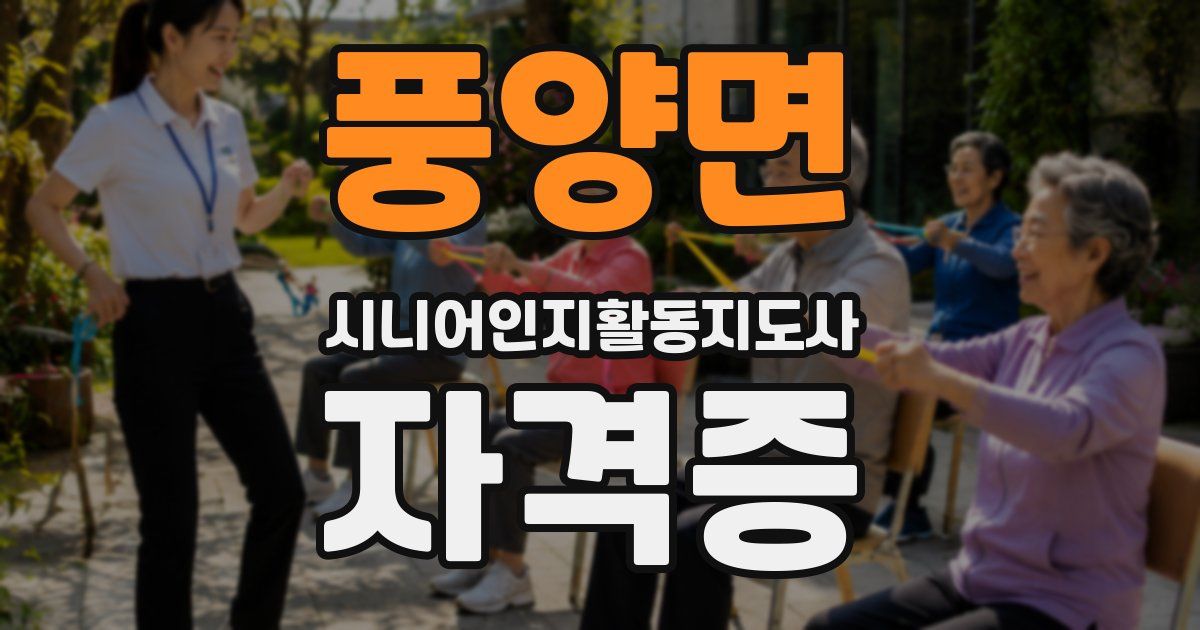 풍양면 시니어인지활동지도사 자격증