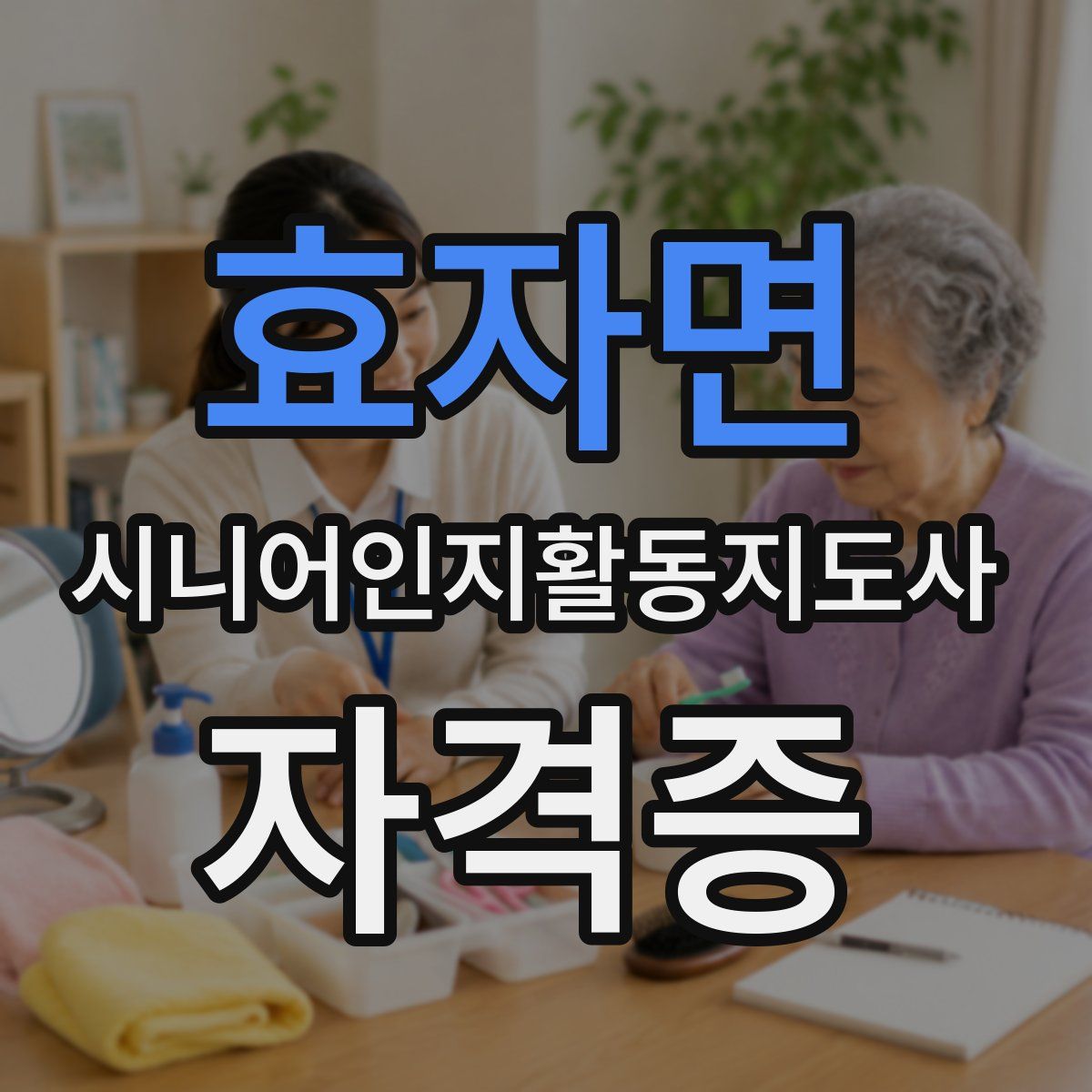 효자면 시니어인지활동지도사 자격증
