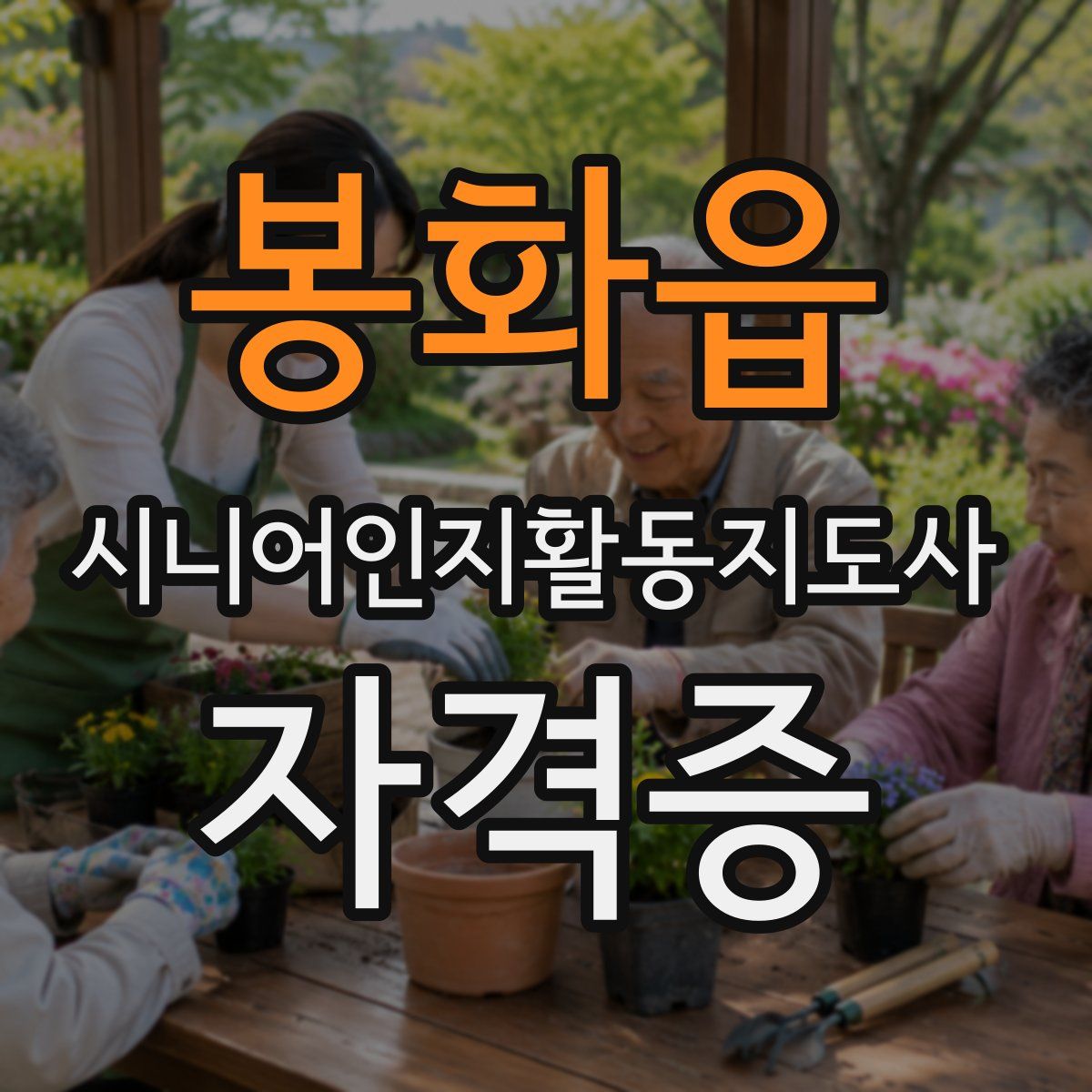 봉화읍 시니어인지활동지도사 자격증