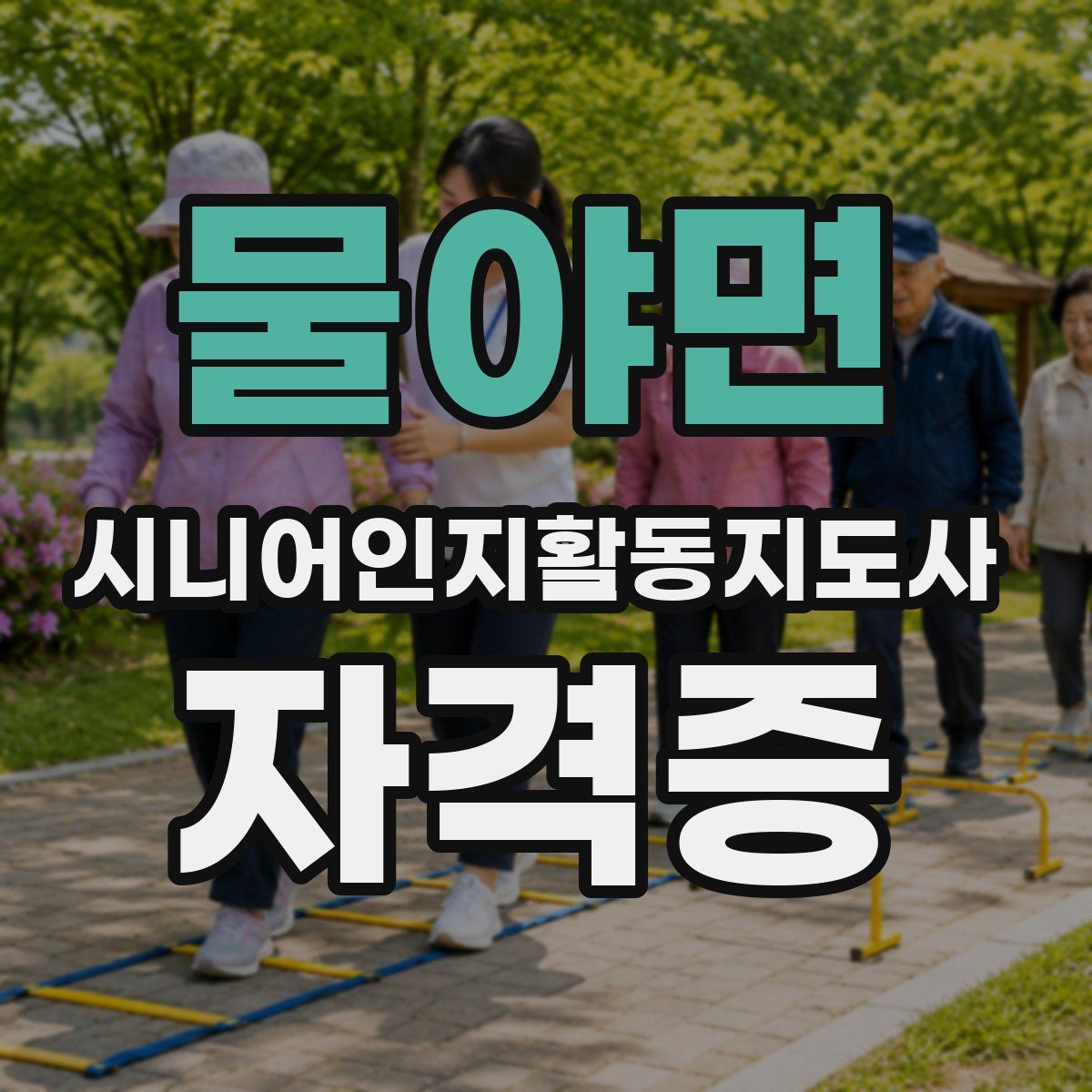 물야면 시니어인지활동지도사 자격증