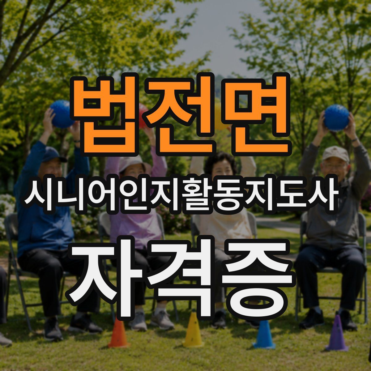 법전면 시니어인지활동지도사 자격증