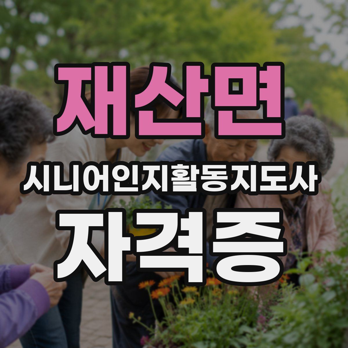 재산면 시니어인지활동지도사 자격증