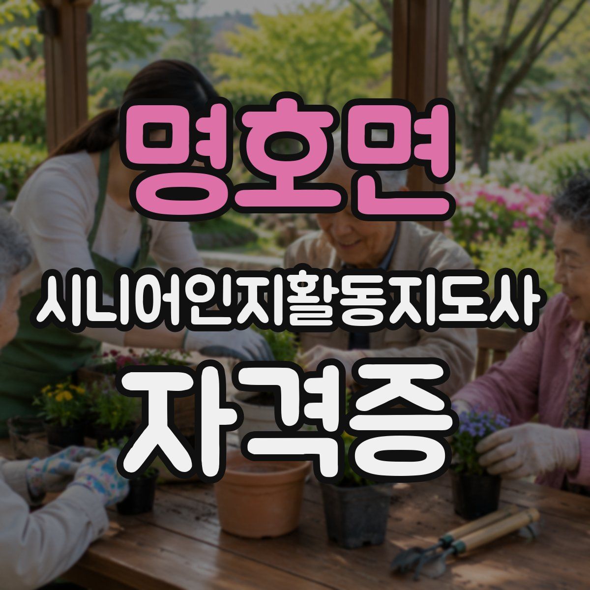 명호면 시니어인지활동지도사 자격증