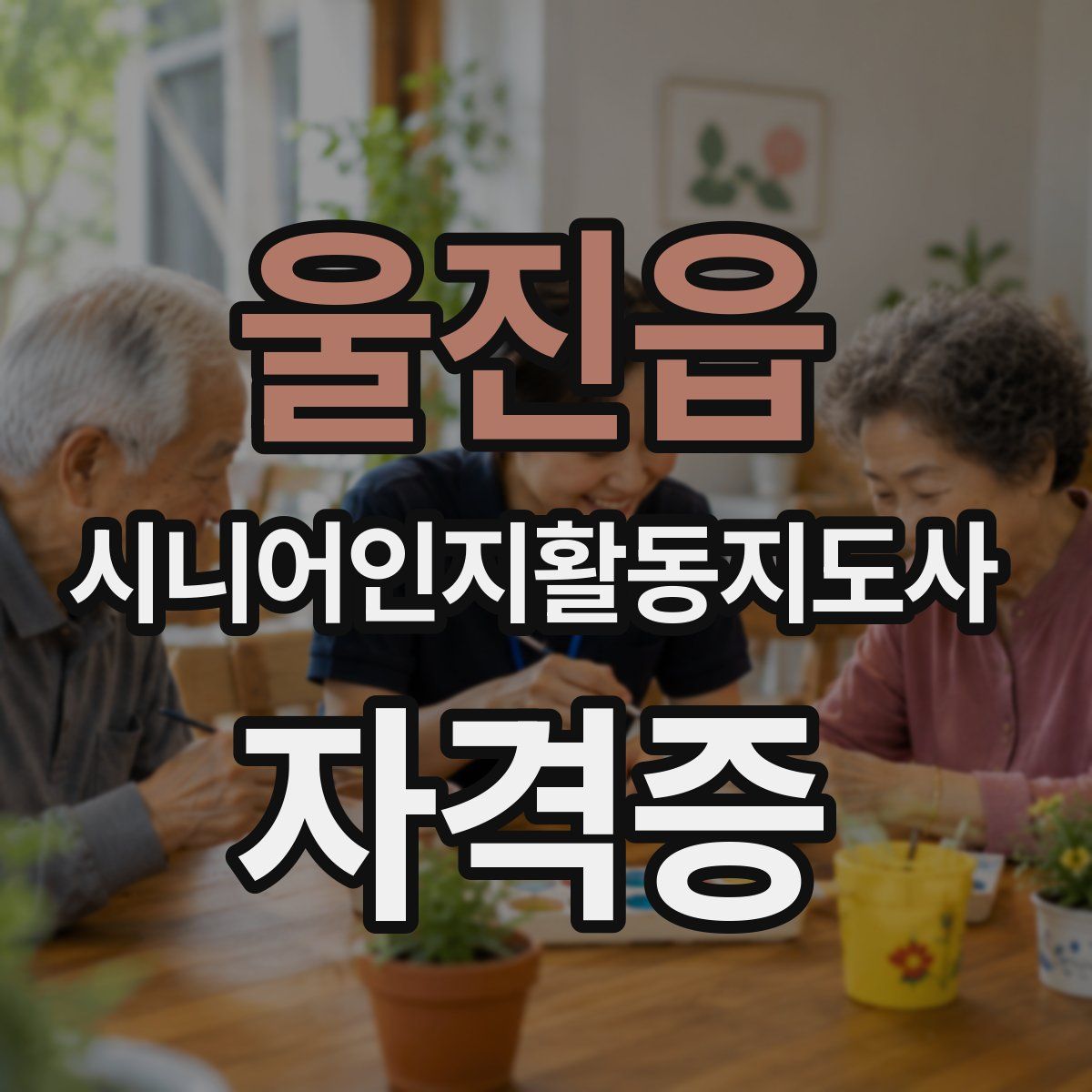 울진읍 시니어인지활동지도사 자격증