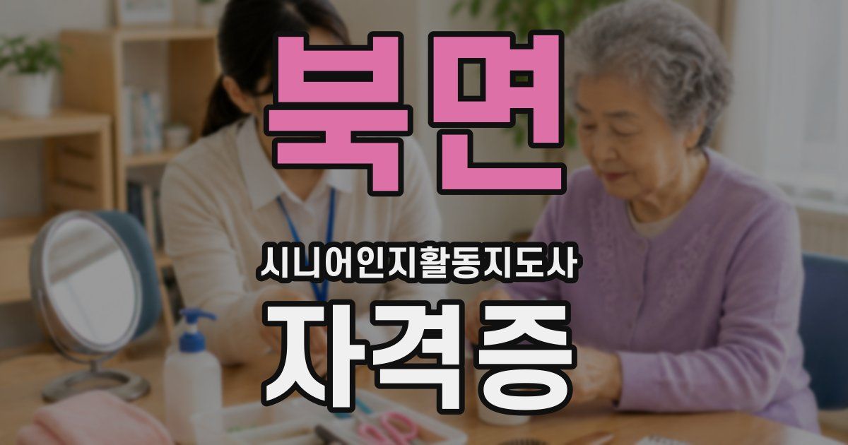 북면 시니어인지활동지도사 자격증