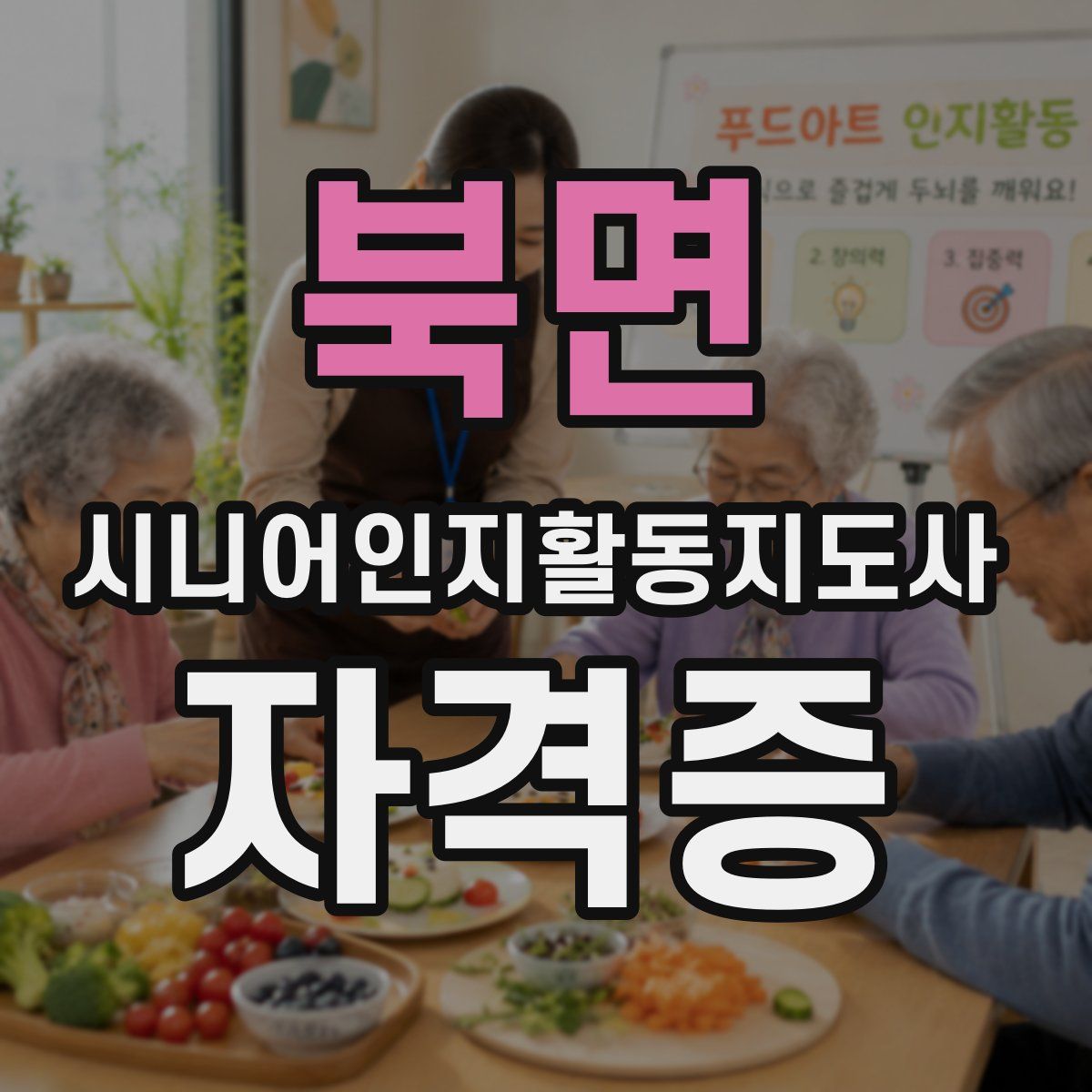 북면 시니어인지활동지도사 자격증