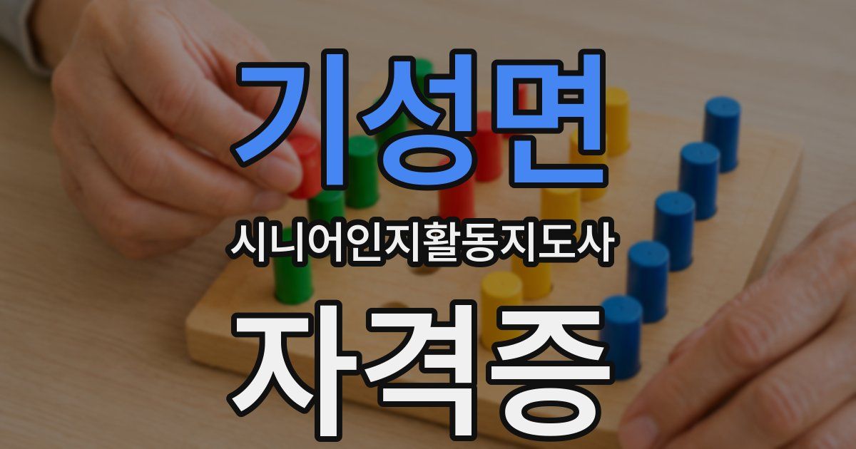 기성면 시니어인지활동지도사 자격증