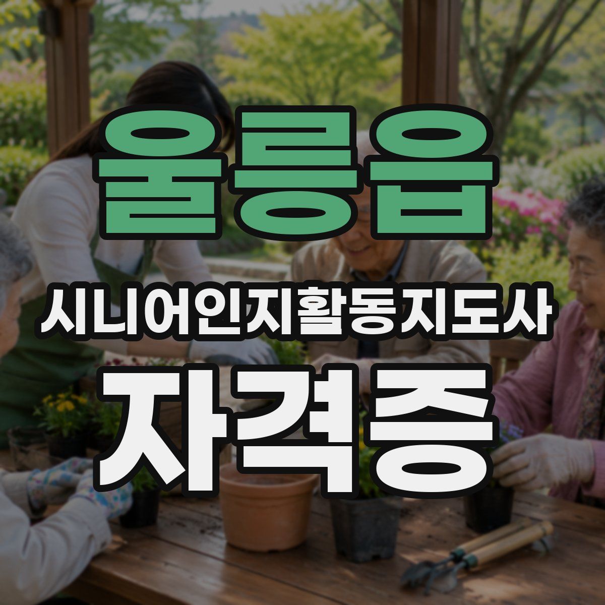 울릉읍 시니어인지활동지도사 자격증