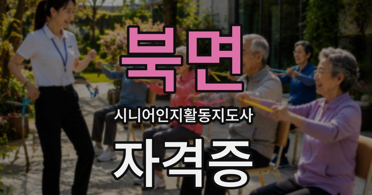 북면 시니어인지활동지도사 자격증