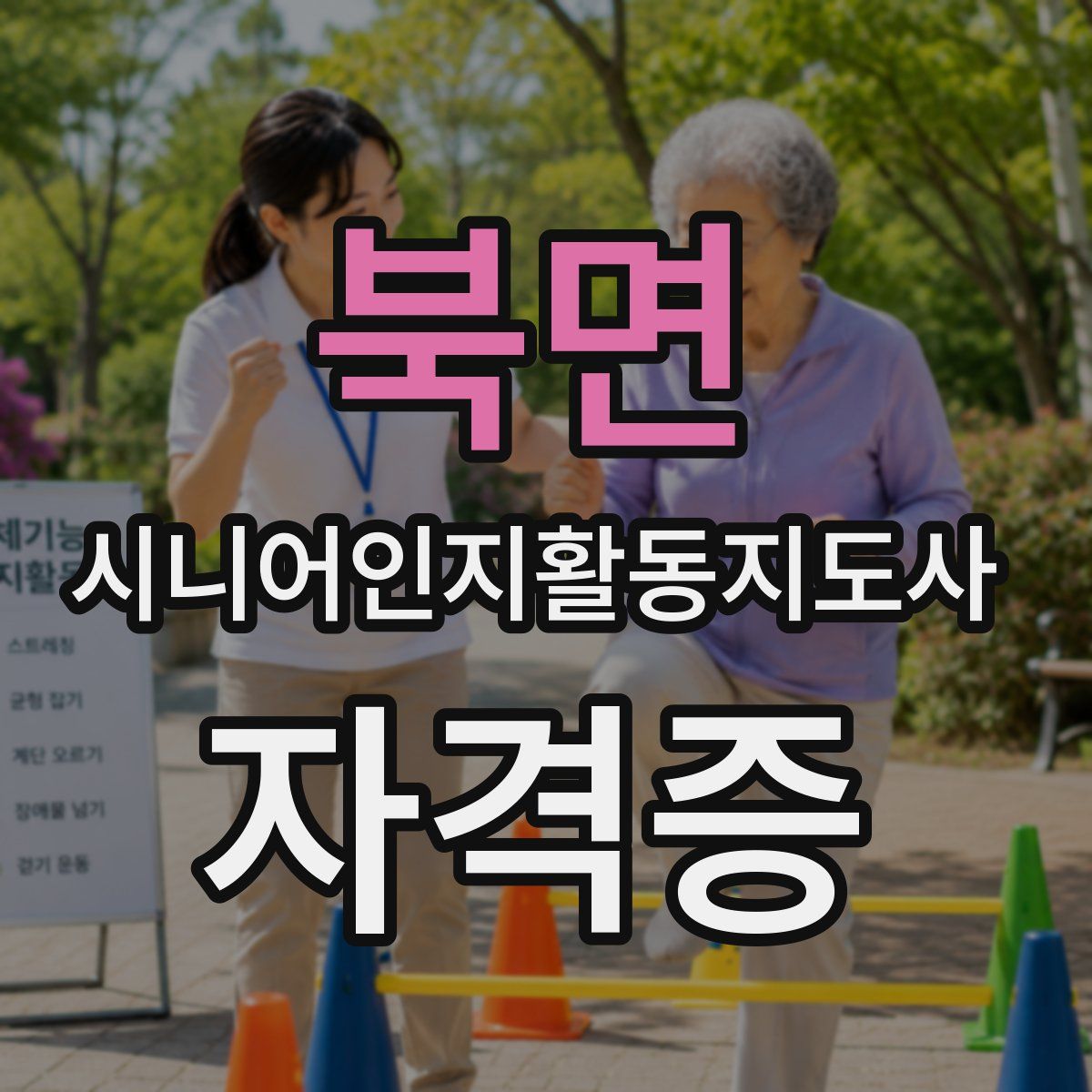 북면 시니어인지활동지도사 자격증