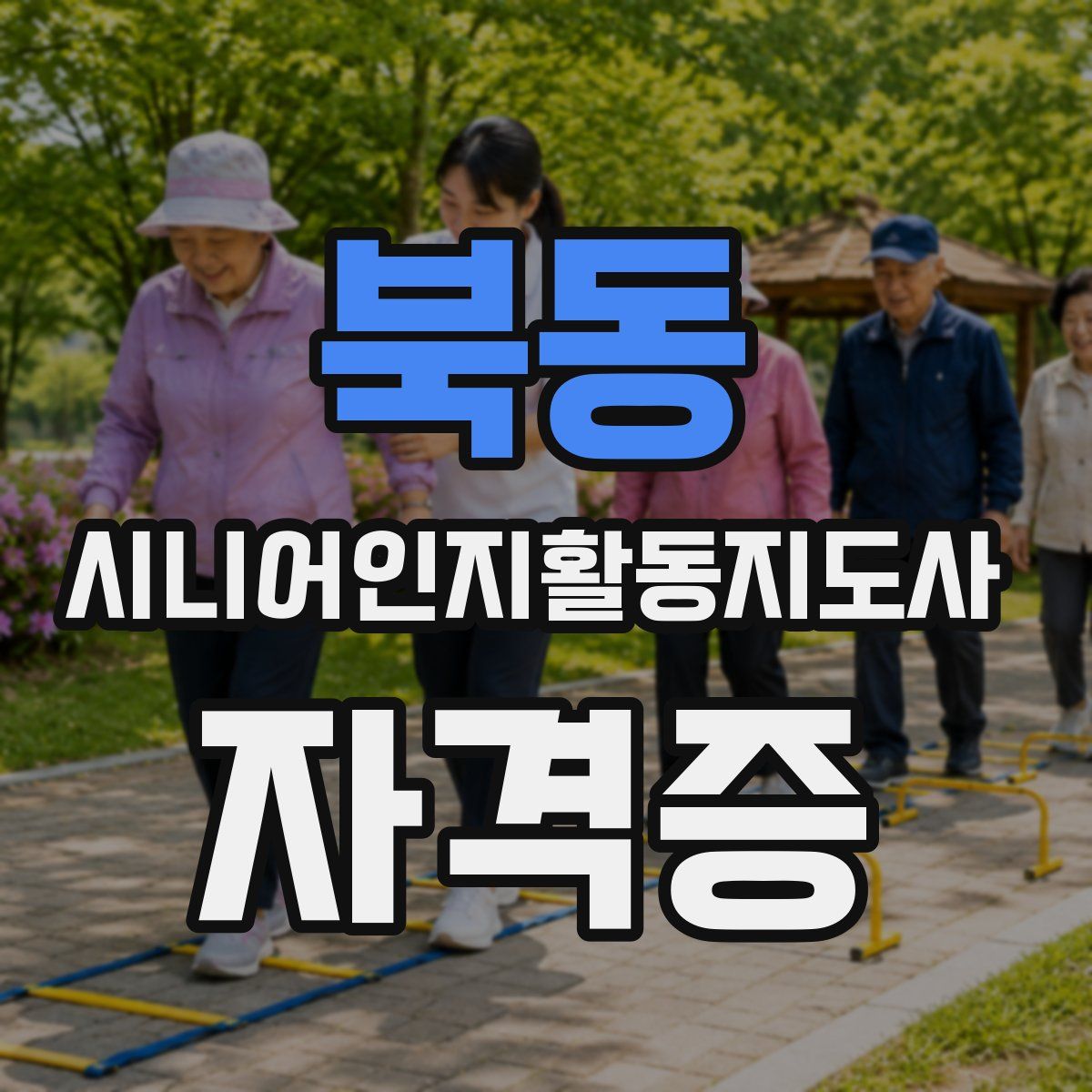 북동 시니어인지활동지도사 자격증