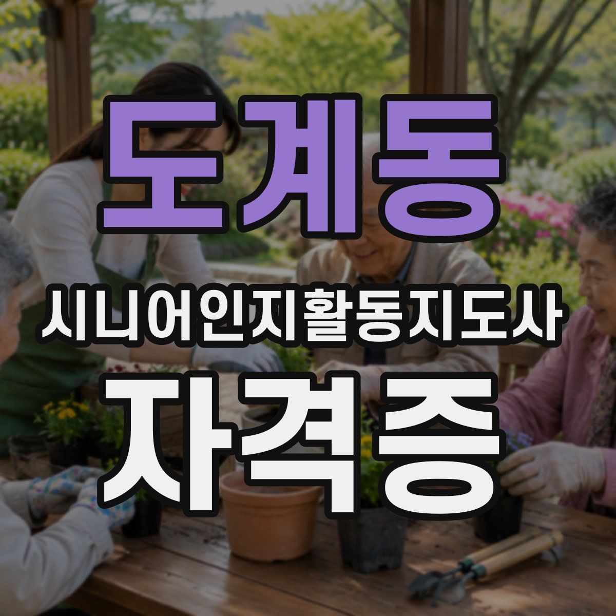 도계동 시니어인지활동지도사 자격증