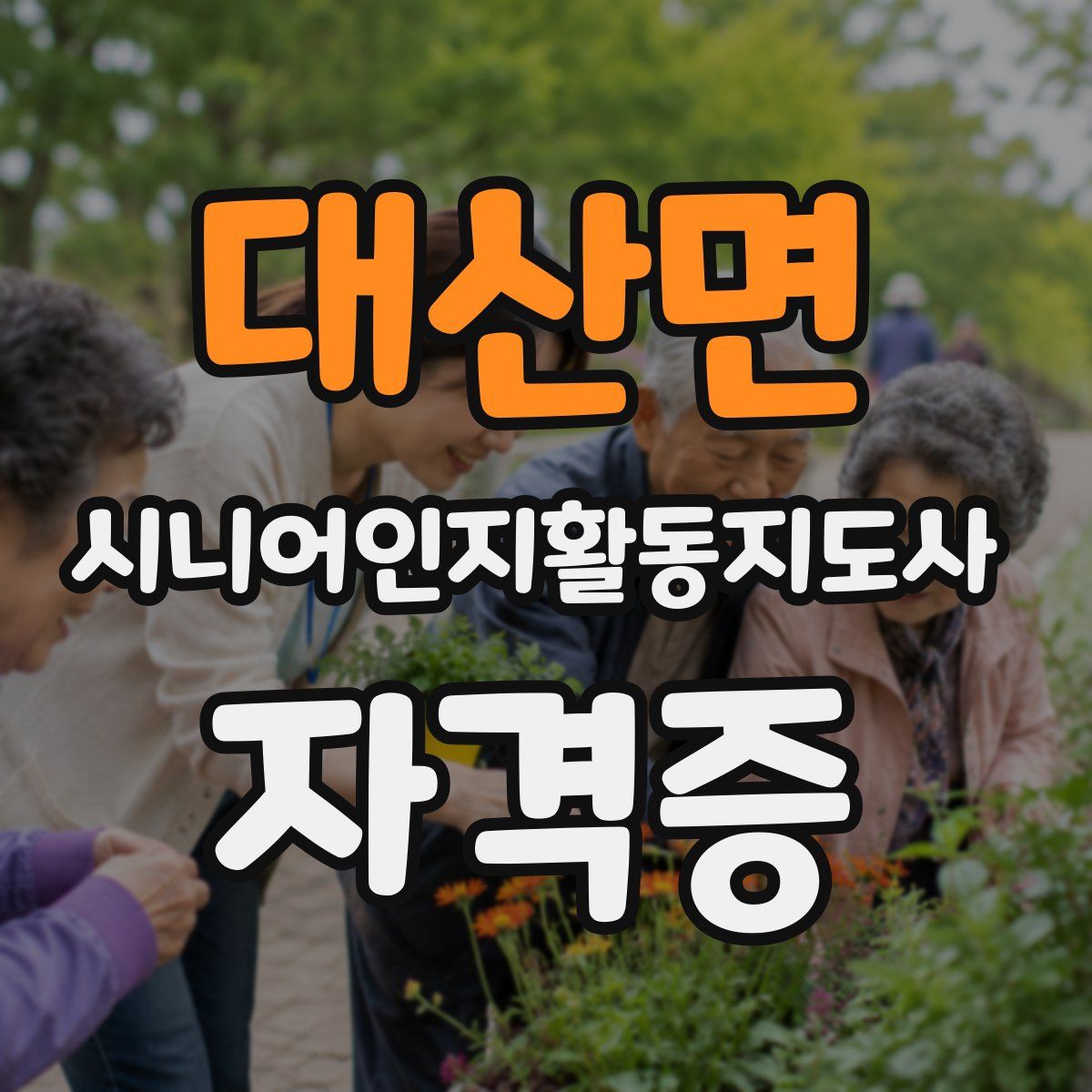 대산면 시니어인지활동지도사 자격증