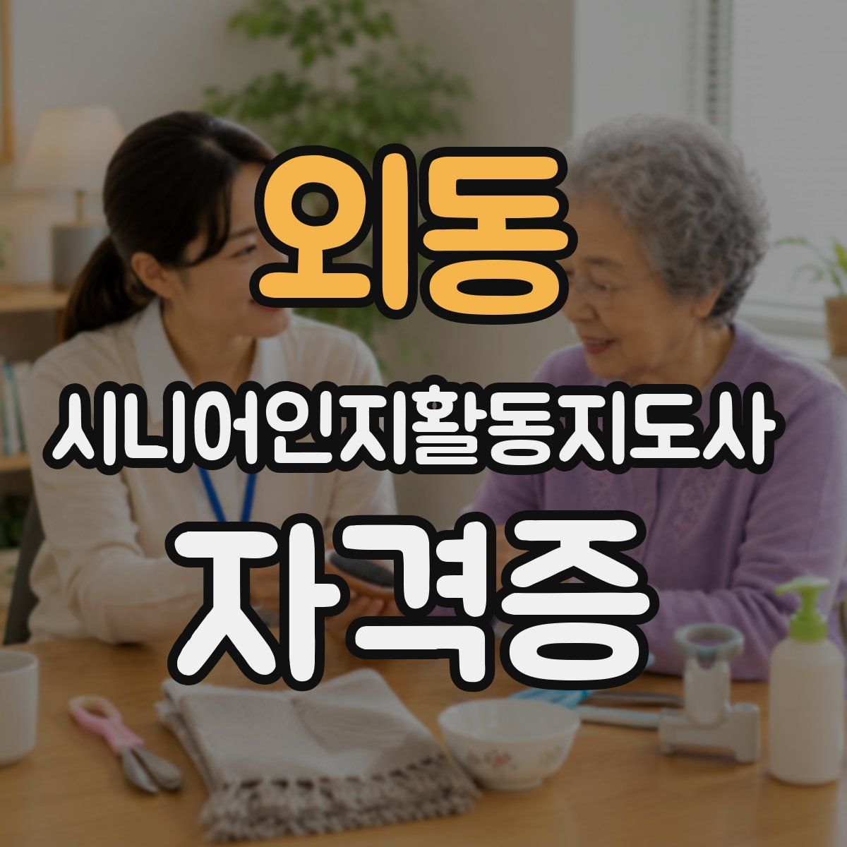 외동 시니어인지활동지도사 자격증