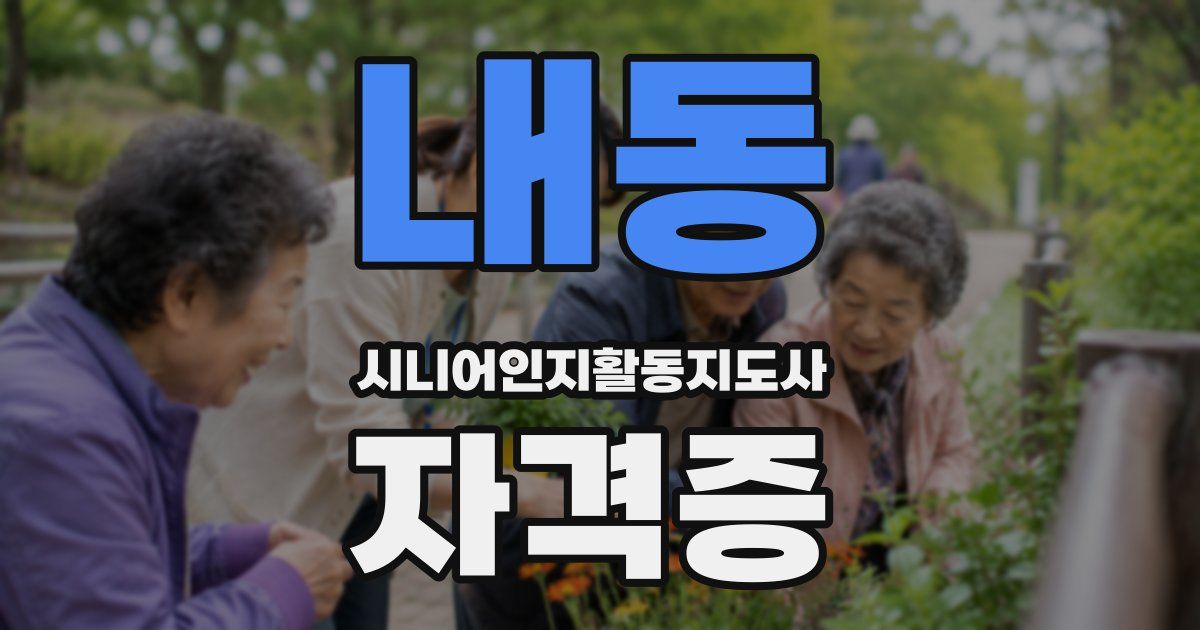 내동 시니어인지활동지도사 자격증