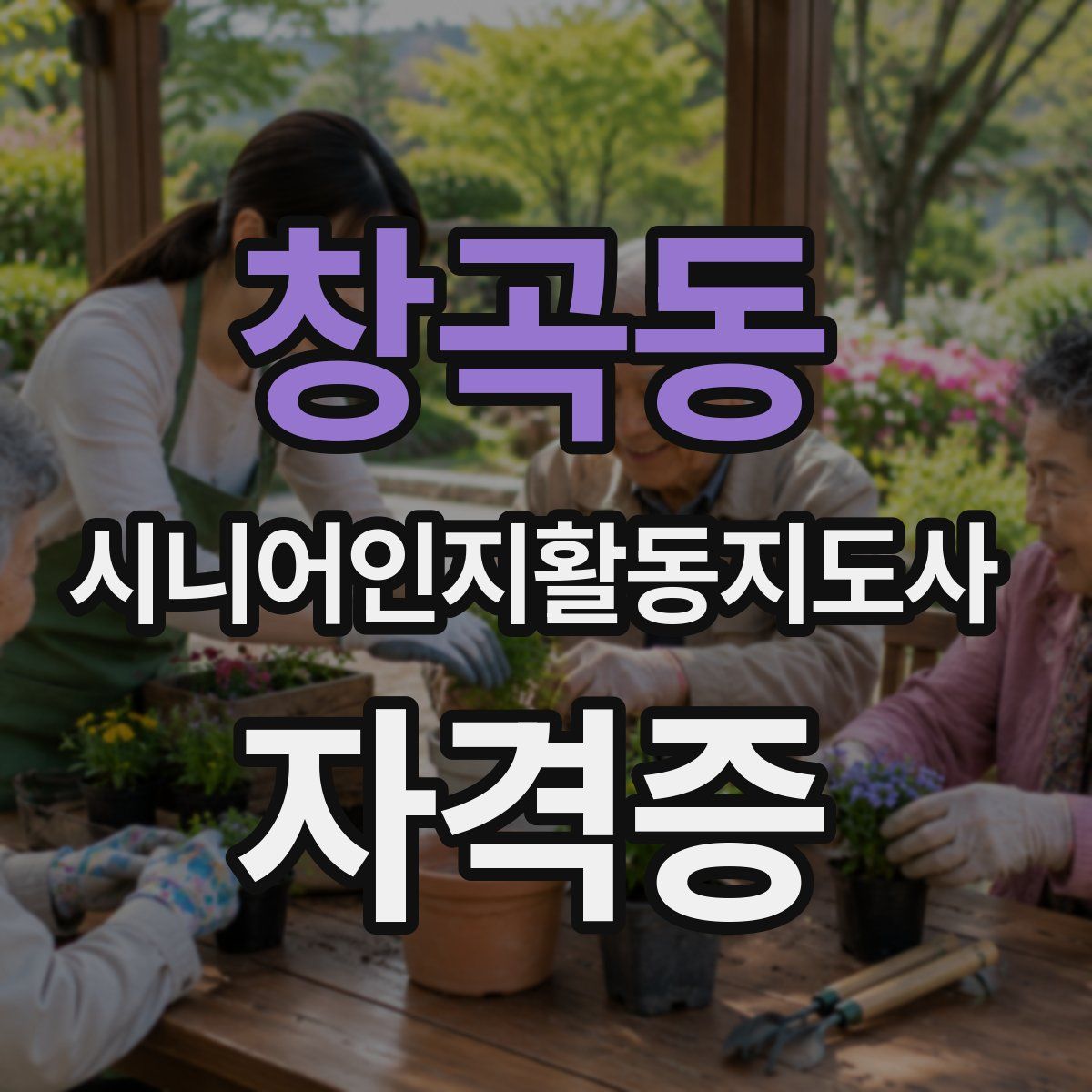 창곡동 시니어인지활동지도사 자격증