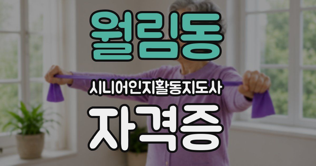 월림동 시니어인지활동지도사 자격증