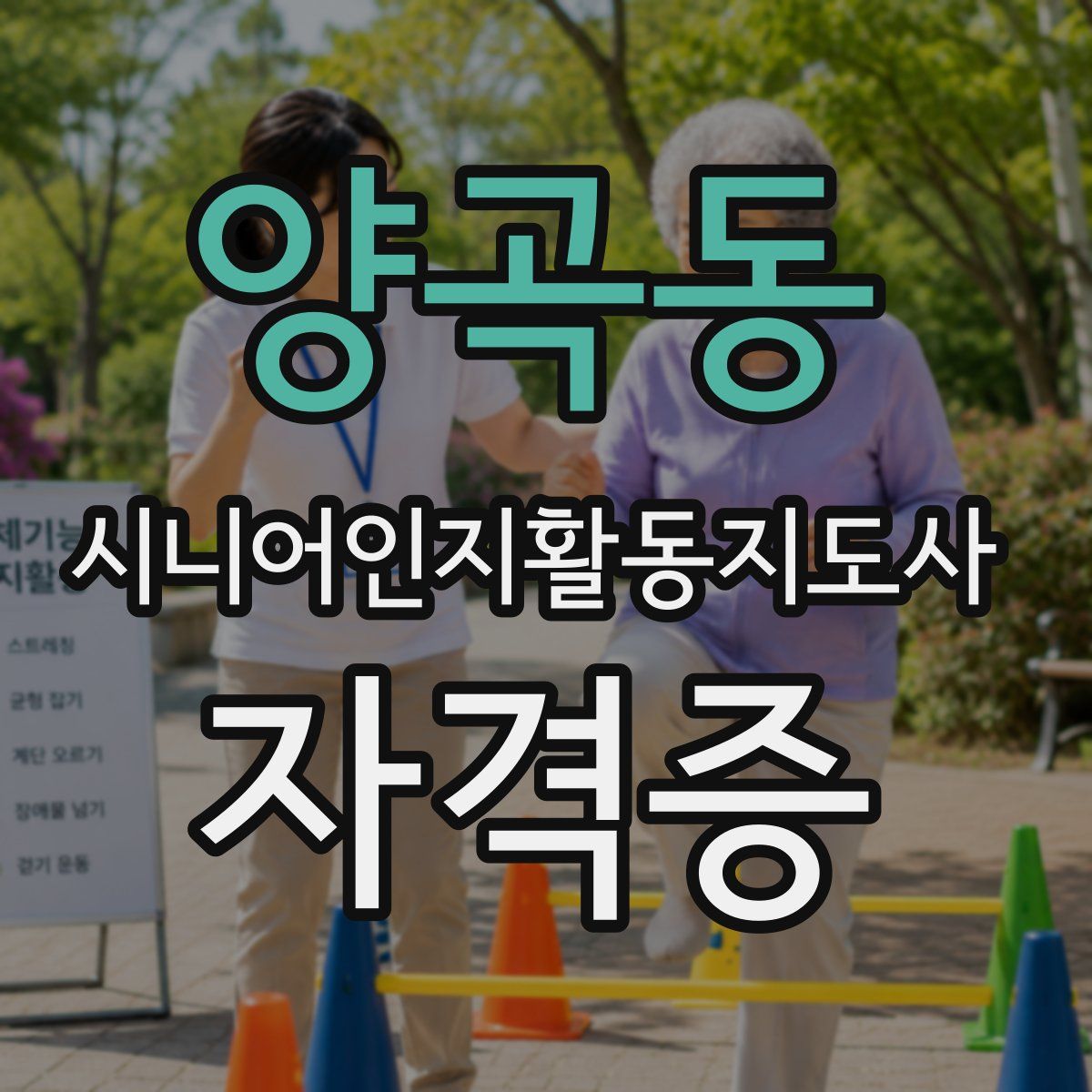 양곡동 시니어인지활동지도사 자격증