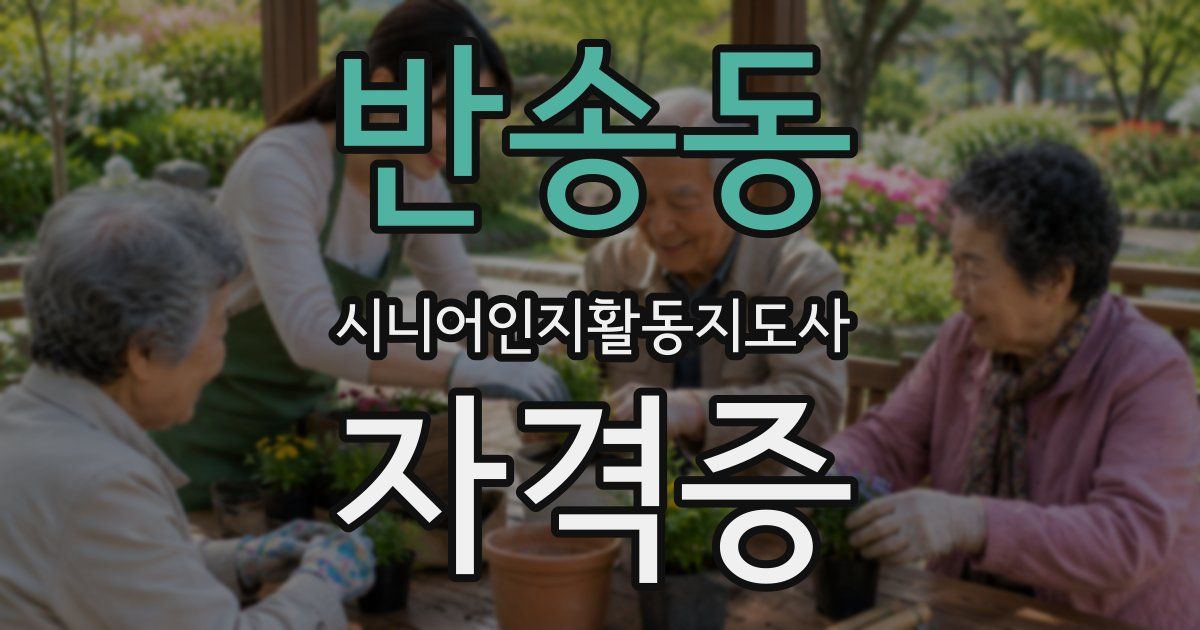 반송동 시니어인지활동지도사 자격증