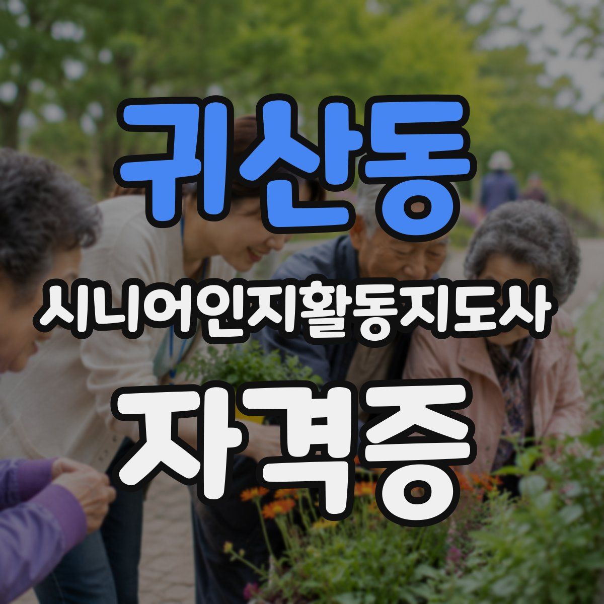 귀산동 시니어인지활동지도사 자격증