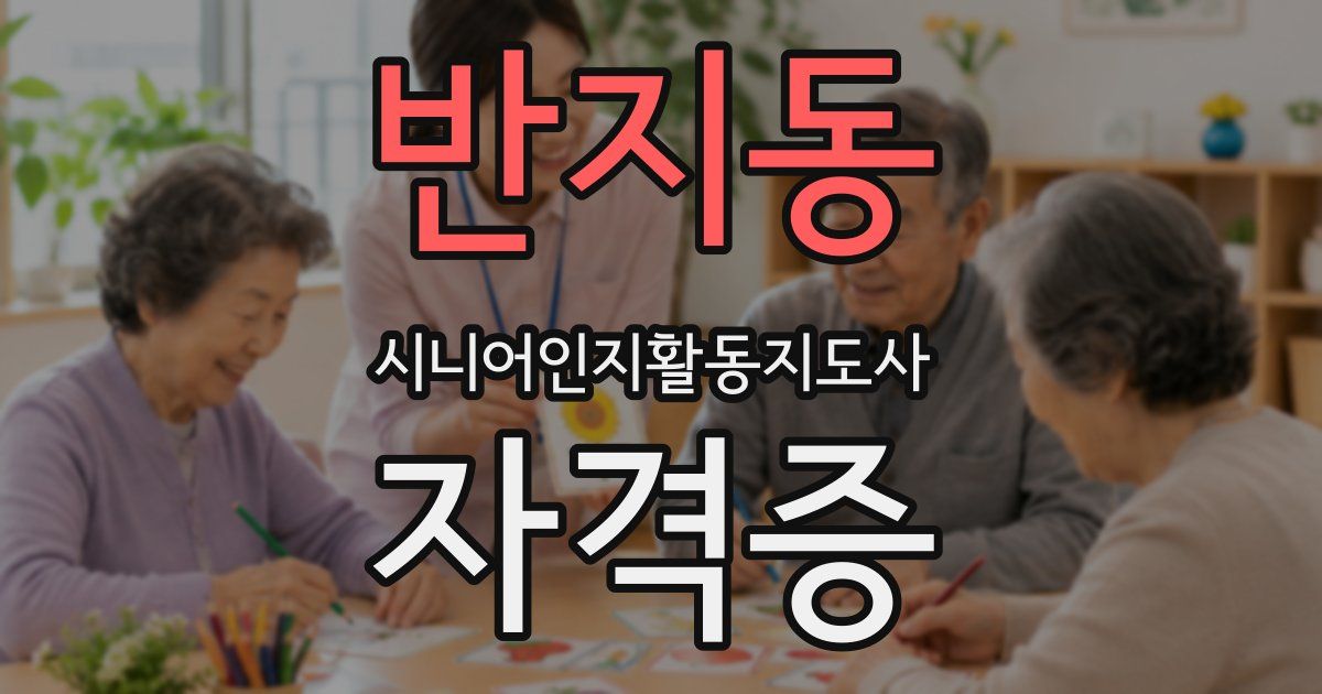 반지동 시니어인지활동지도사 자격증