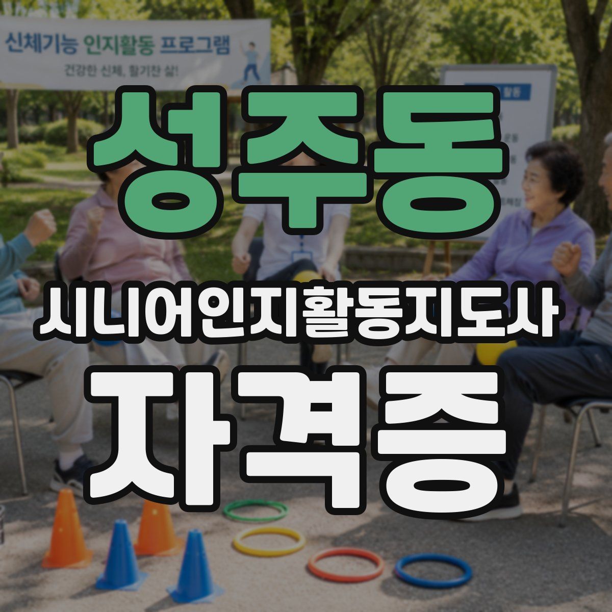 성주동 시니어인지활동지도사 자격증