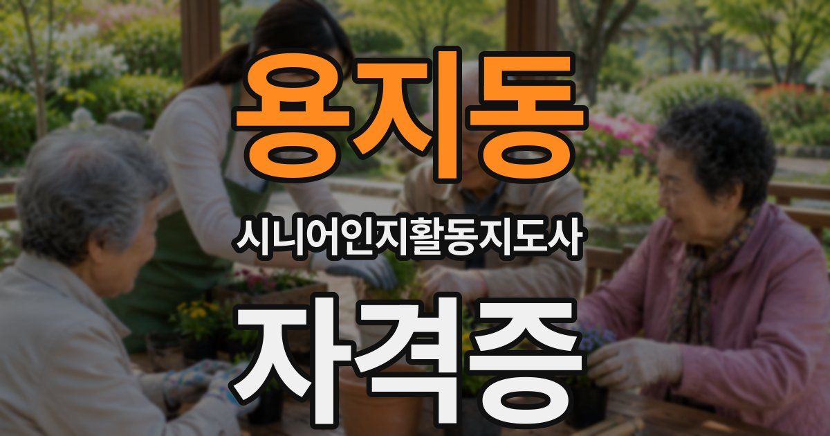 용지동 시니어인지활동지도사 자격증