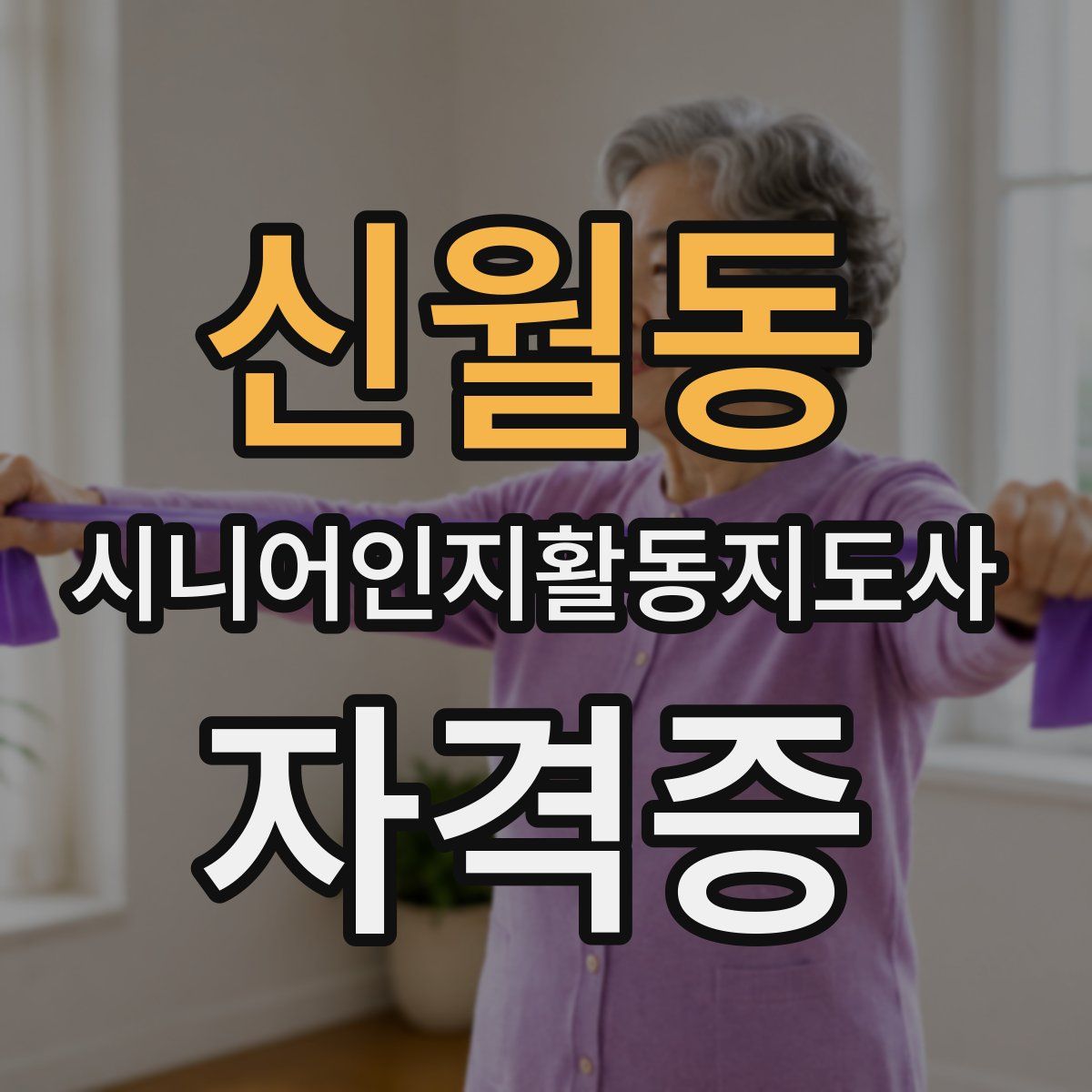 신월동 시니어인지활동지도사 자격증