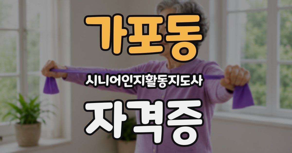 가포동 시니어인지활동지도사 자격증