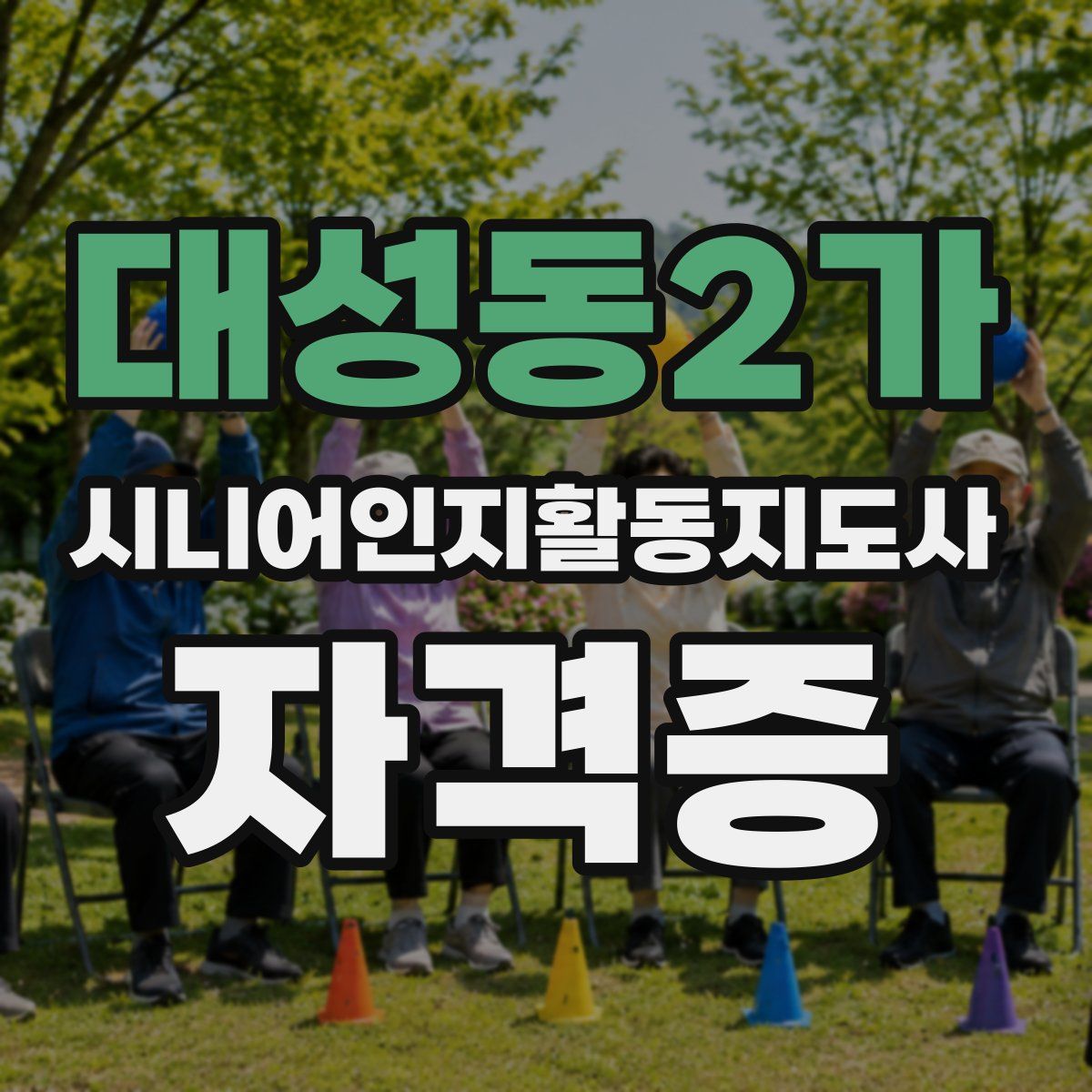 대성동2가 시니어인지활동지도사 자격증