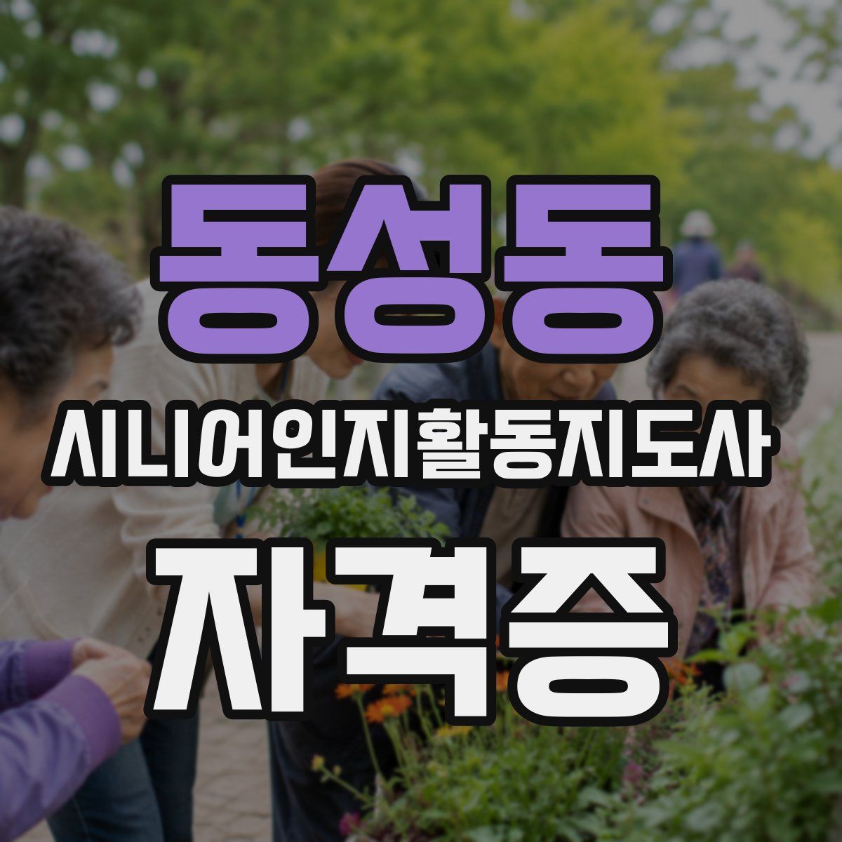 동성동 시니어인지활동지도사 자격증