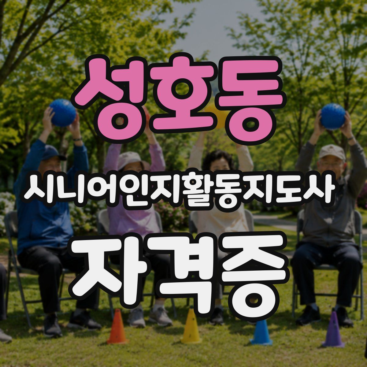 성호동 시니어인지활동지도사 자격증