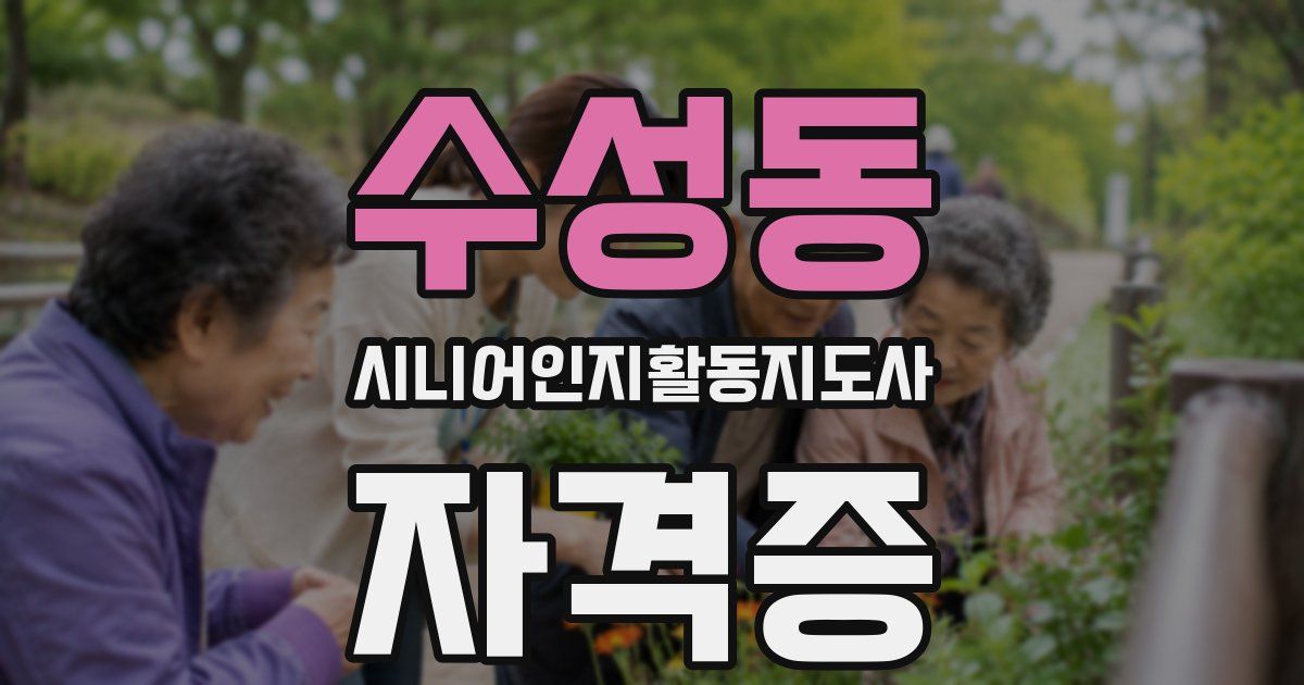 수성동 시니어인지활동지도사 자격증