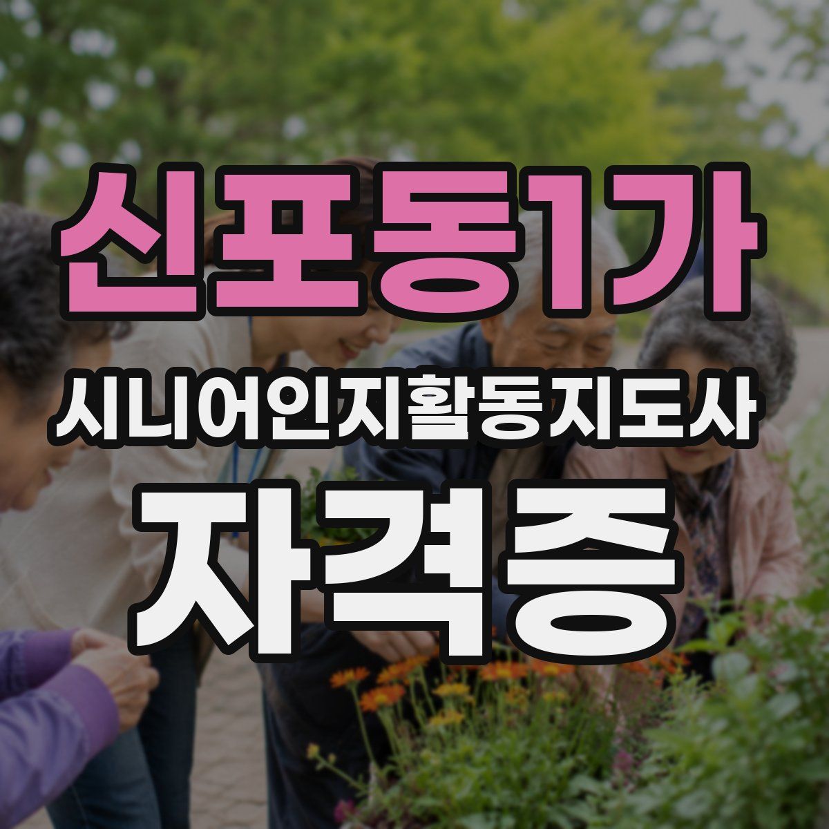신포동1가 시니어인지활동지도사 자격증