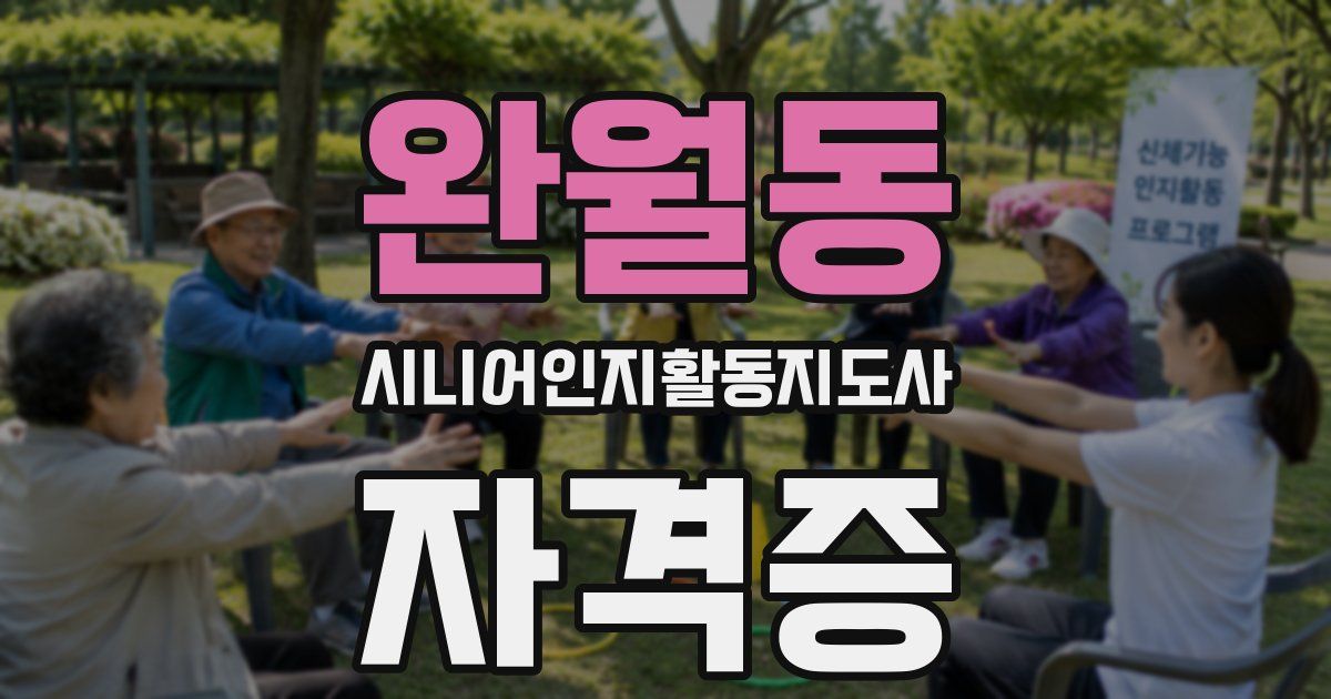 완월동 시니어인지활동지도사 자격증