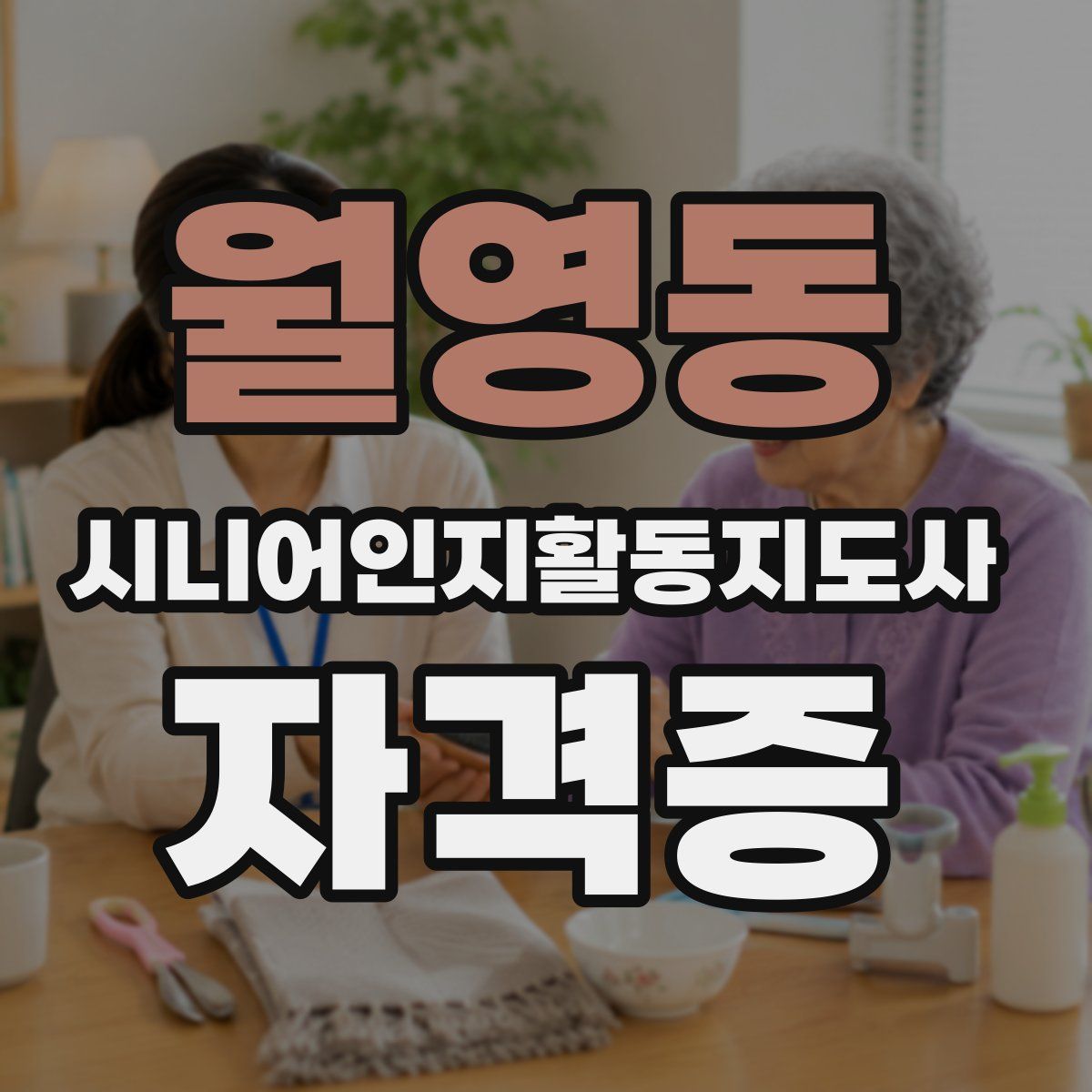 월영동 시니어인지활동지도사 자격증