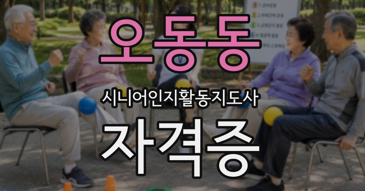 오동동 시니어인지활동지도사 자격증
