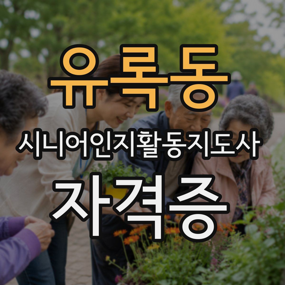 유록동 시니어인지활동지도사 자격증