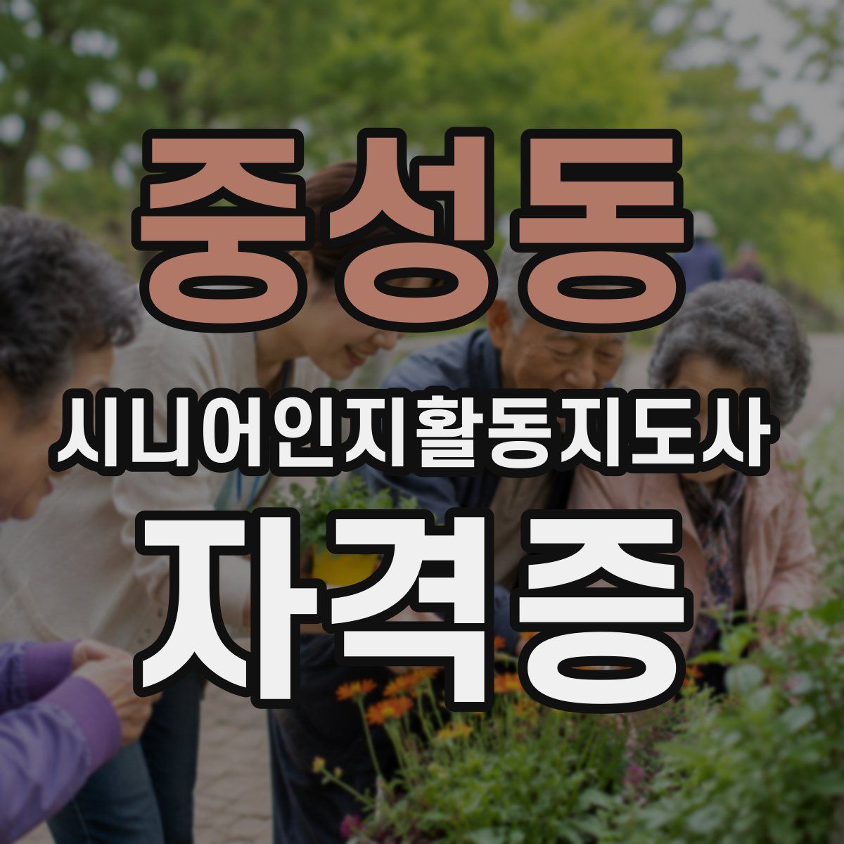중성동 시니어인지활동지도사 자격증
