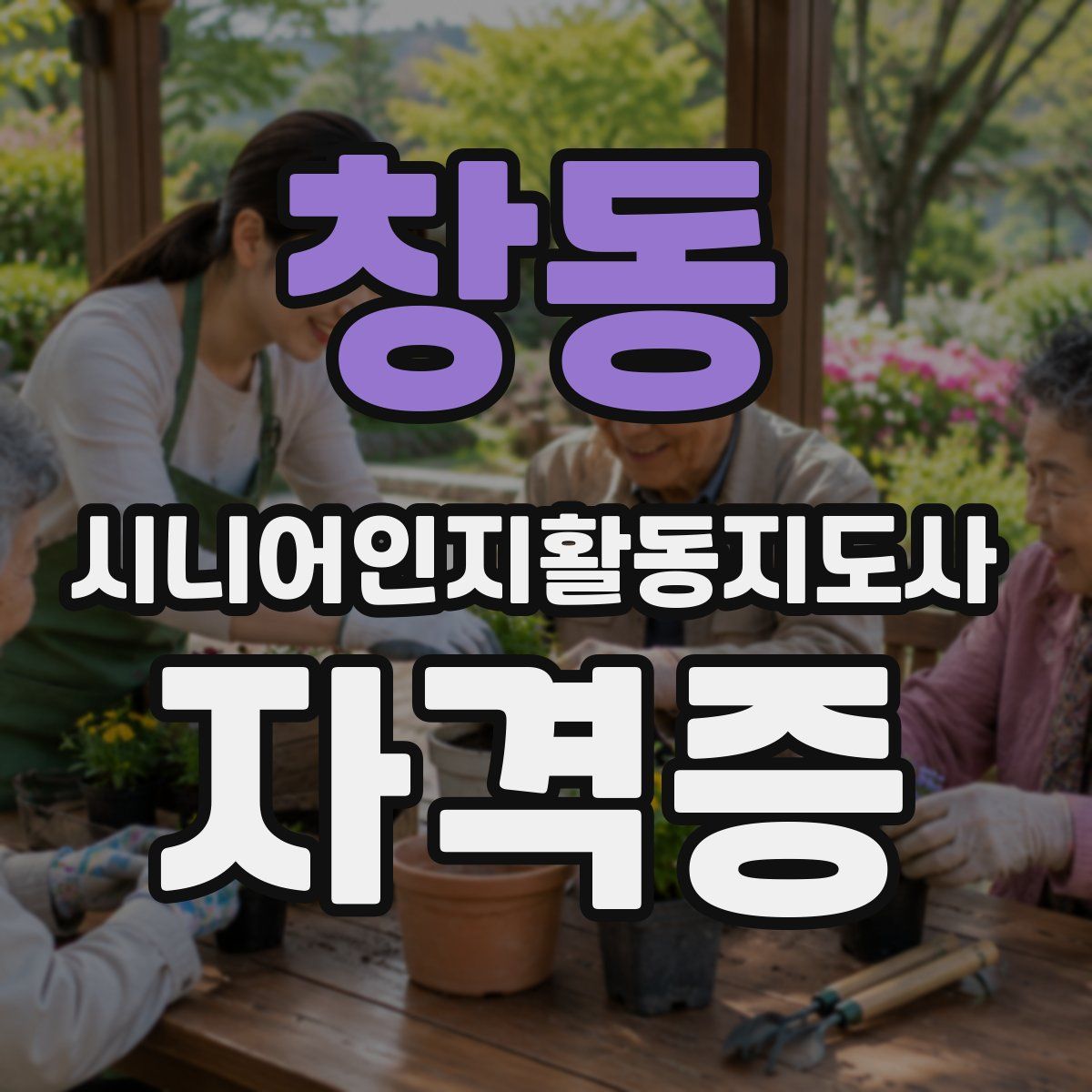 창동 시니어인지활동지도사 자격증