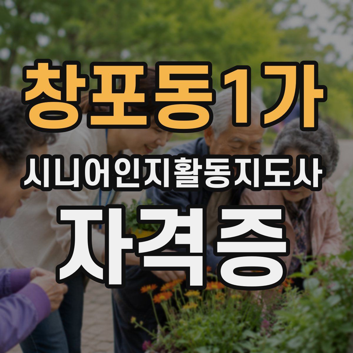 창포동1가 시니어인지활동지도사 자격증