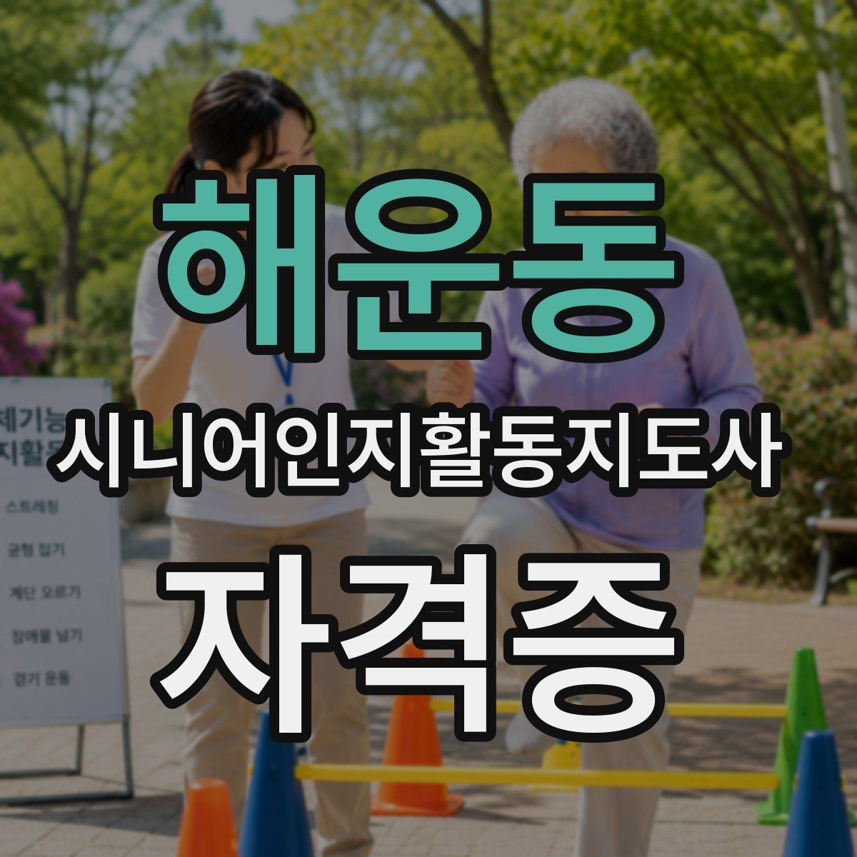 해운동 시니어인지활동지도사 자격증