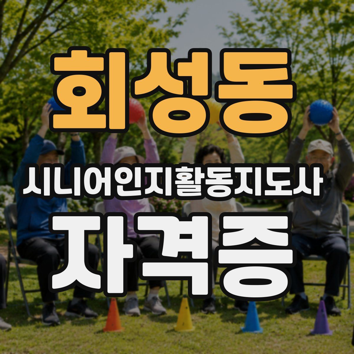 회성동 시니어인지활동지도사 자격증